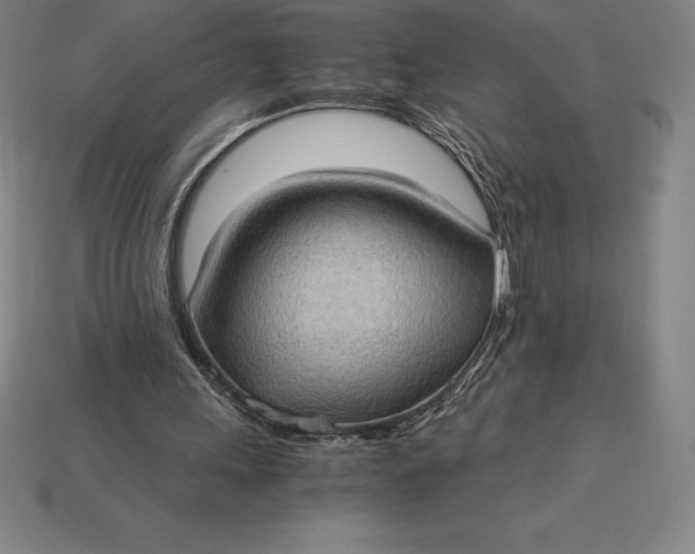 X0000115280243200911131834