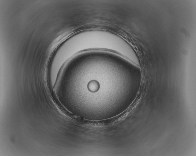 X0000115280245200911131834