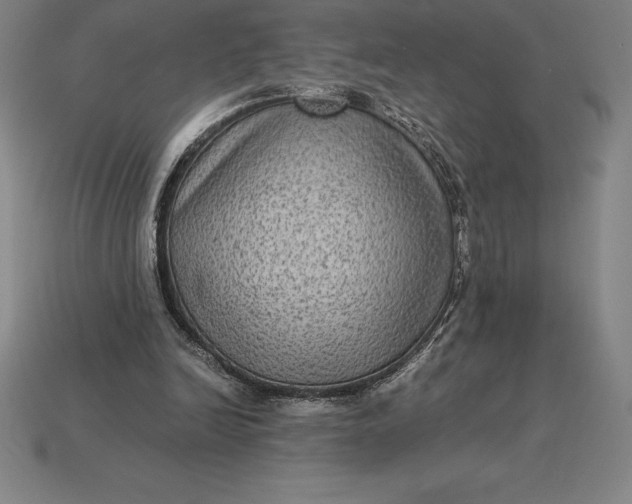 X0000115280246200911131834