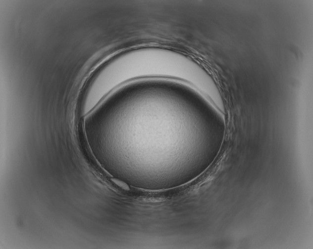 X0000115280247200911131834