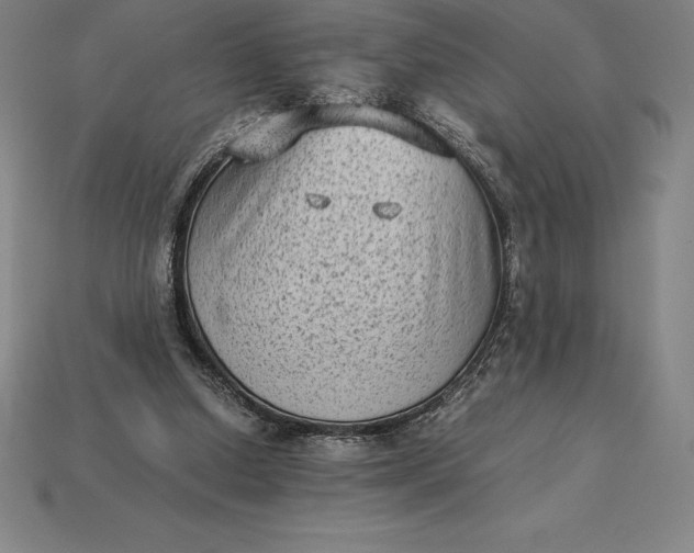 X0000115280250200911131834