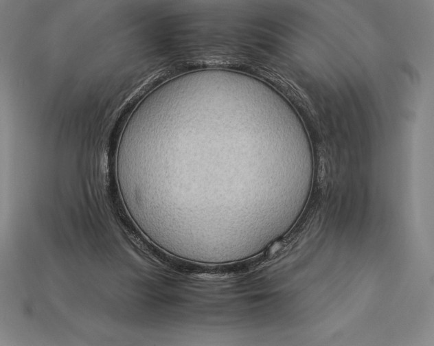 X0000115280251200911131834