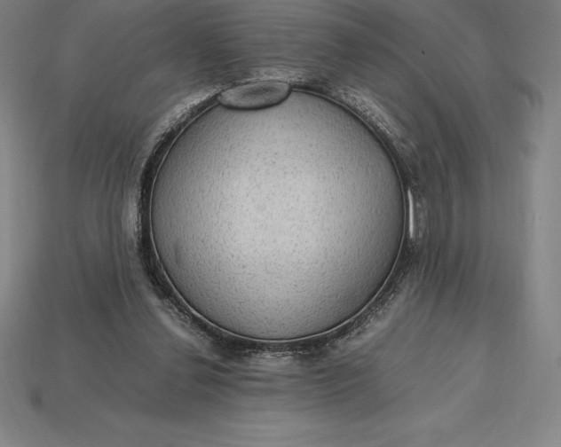 X0000115280252200911131835