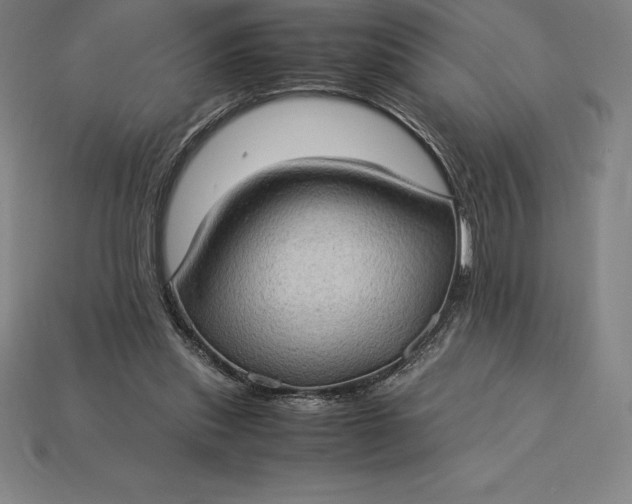 X0000115280253200911131835