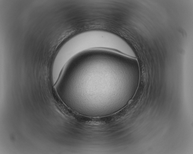 X0000115280255200911131835