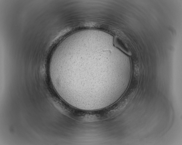 X0000115280256200911131835