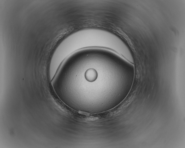 X0000115280257200911131835