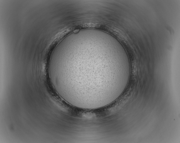 X0000115280258200911131835