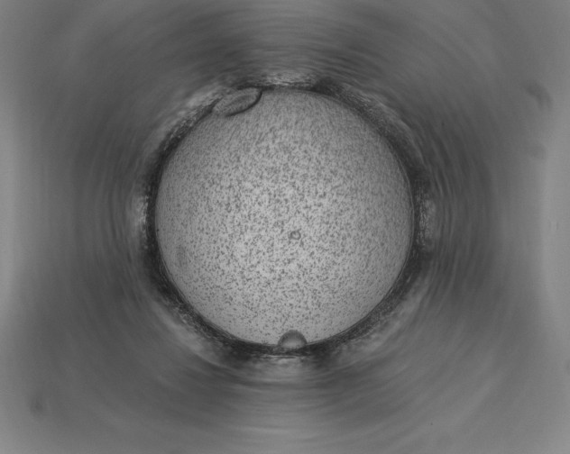 X0000115280260200911131835