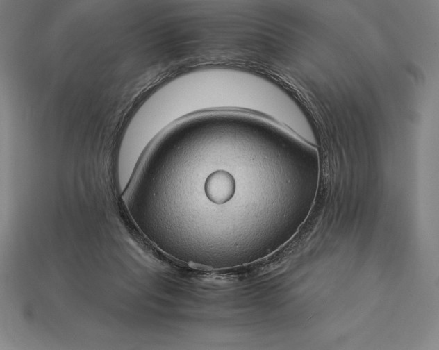 X0000115280261200911131835