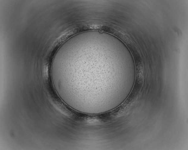 X0000115280262200911131835