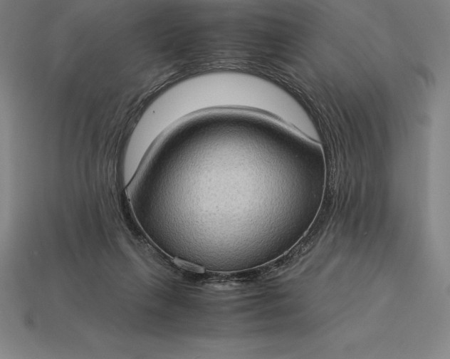 X0000115280263200911131835