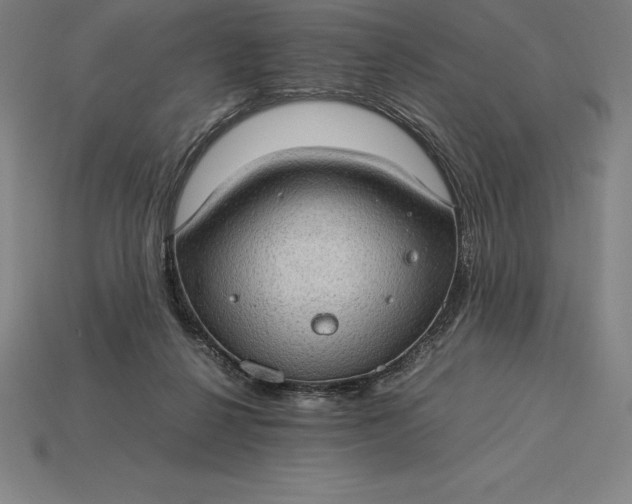 X0000115280264200911131835