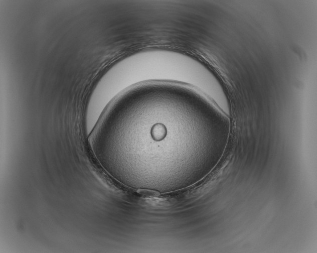 X0000115280265200911131835