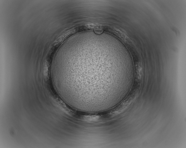 X0000115280266200911131835