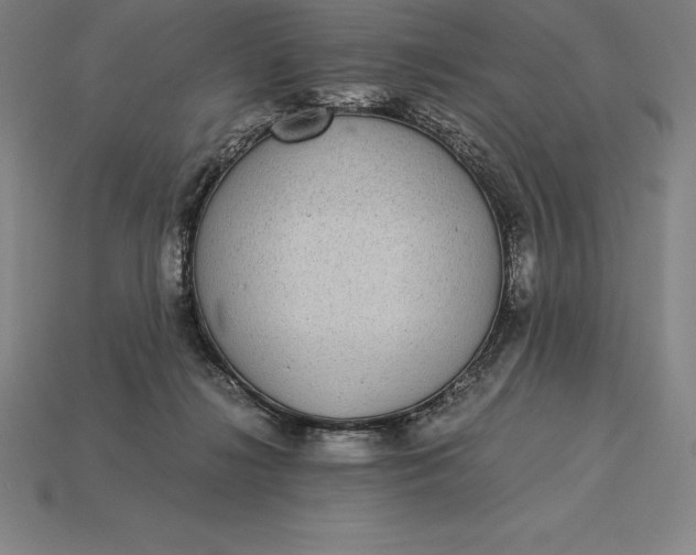 X0000115280268200911131835