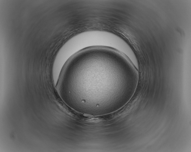 X0000115280269200911131835