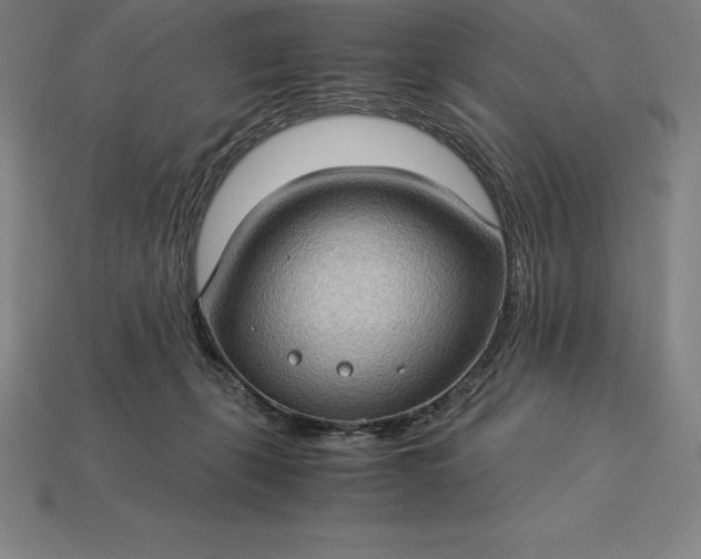 X0000115280271200911131835