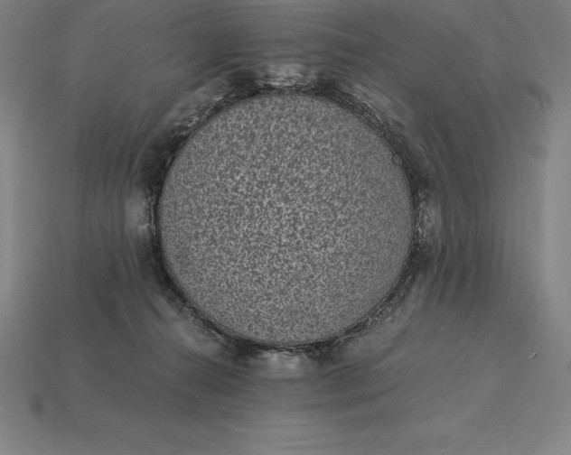 X0000115280272200911131835