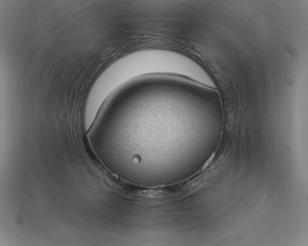 X0000115280273200911131835