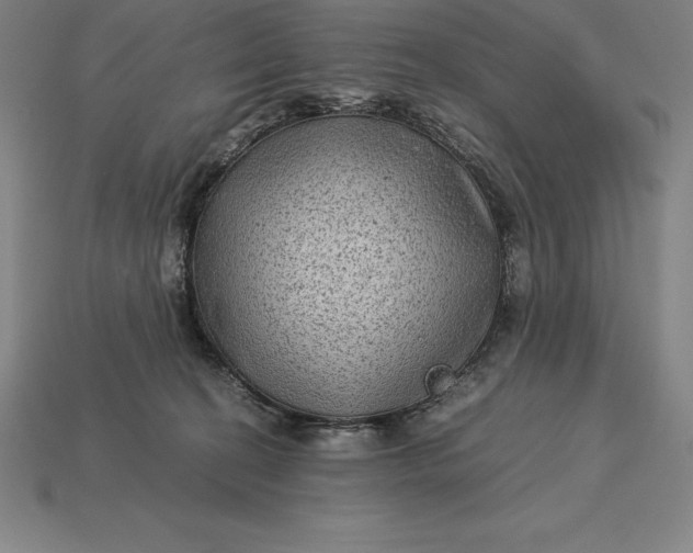 X0000115280274200911131835