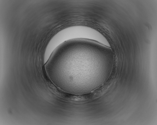 X0000115280275200911131835