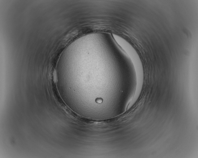 X0000115280277200911131835