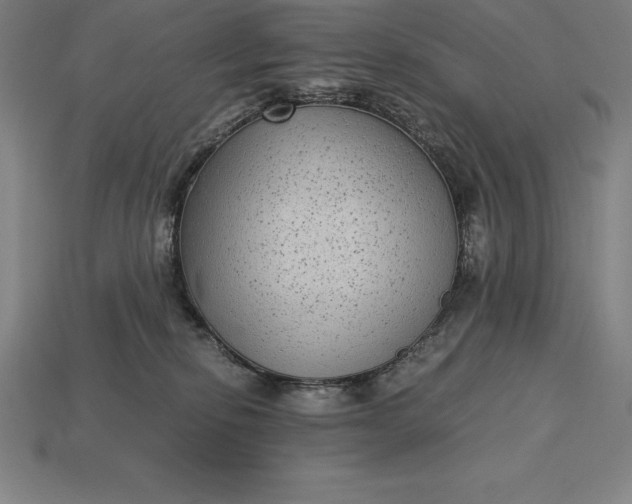 X0000115280278200911131835