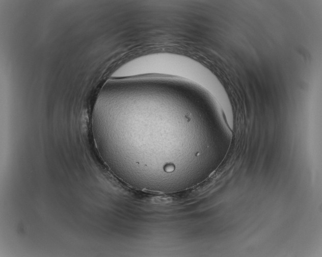 X0000115280279200911131835