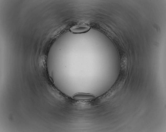 X0000115280280200911131835