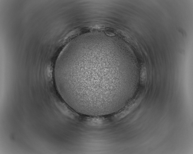 X0000115280282200911131835