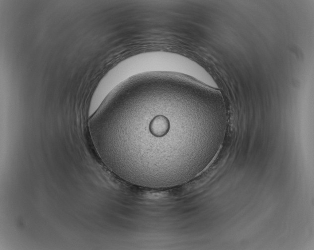 X0000115280283200911131835