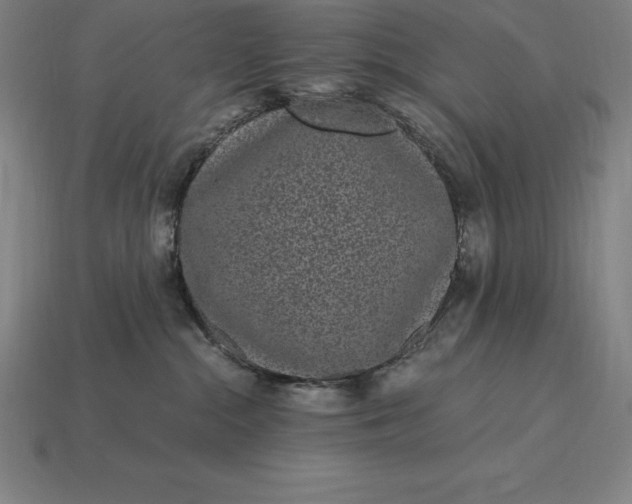 X0000115280284200911131835