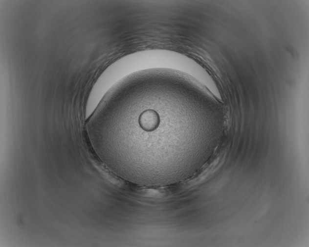 X0000115280285200911131835