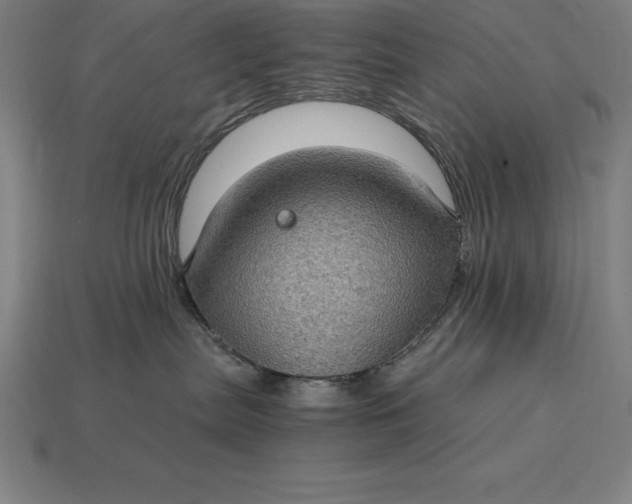 X0000115280287200911131835