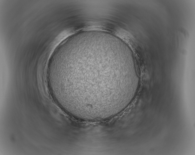 X0000115280289200911131834