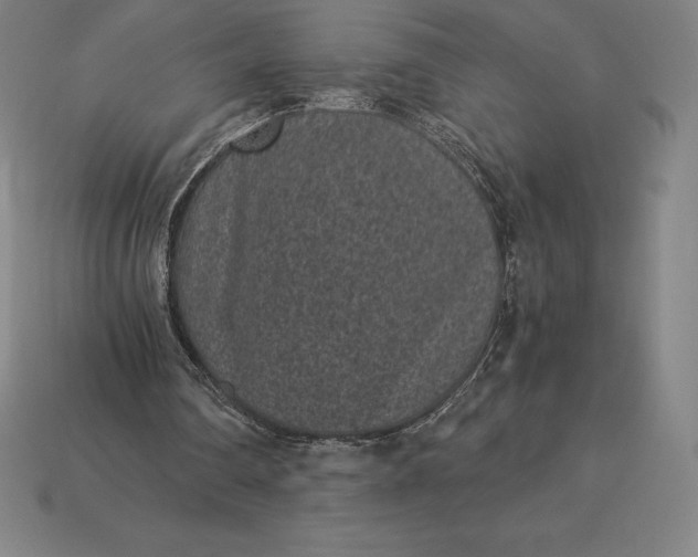 X0000115280290200911131834