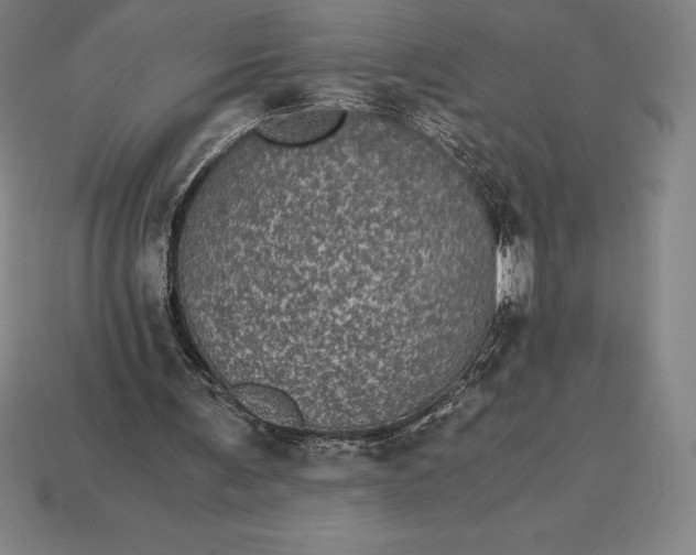 X0000115280291200911131834