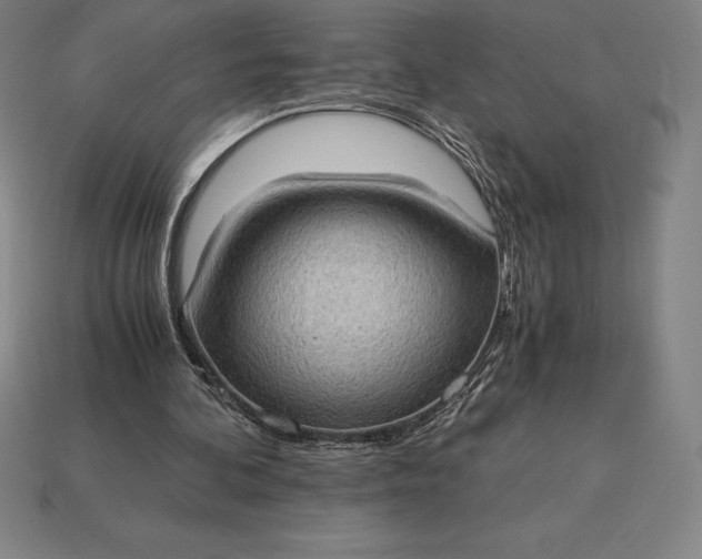 X0000115280292200911131834