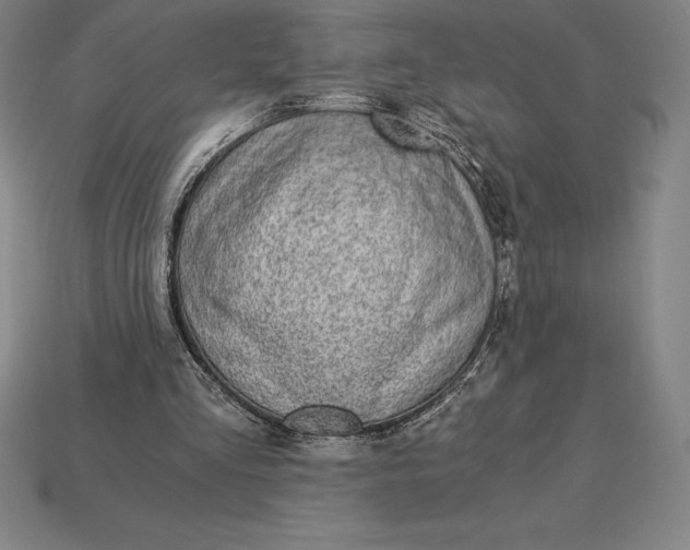 X0000115280293200911131834