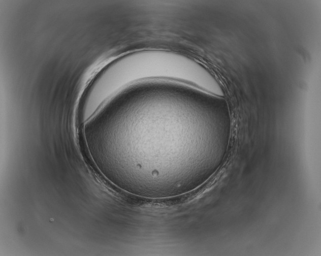 X0000115280294200911131834