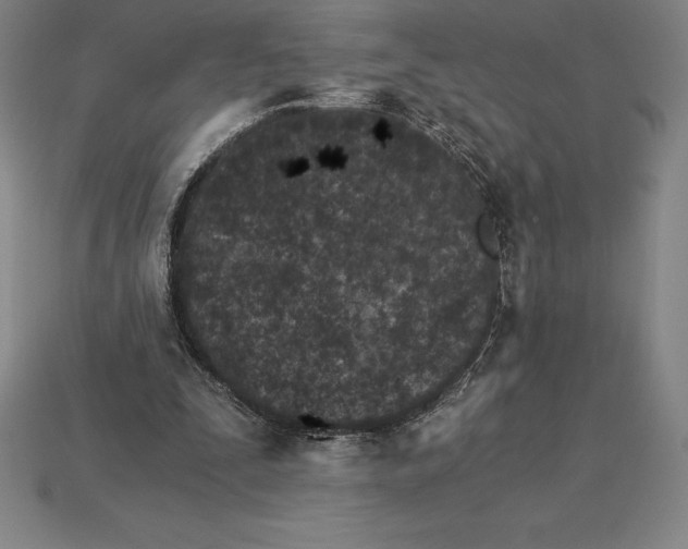 X0000115280295200911131834