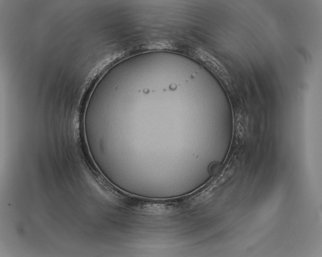 X0000115280298200911131834