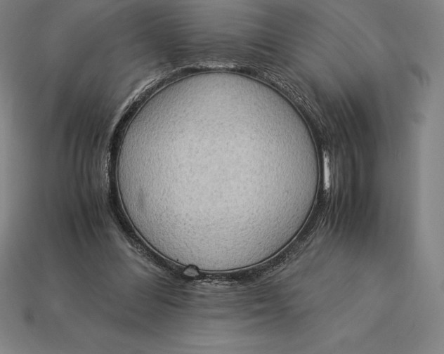 X0000115280300200911131834