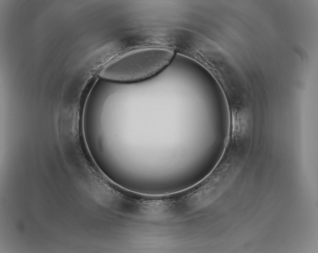 X0000115280301200911131834