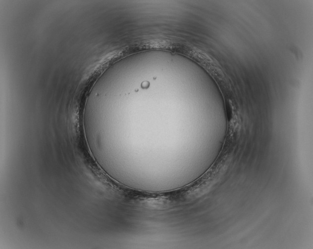 X0000115280306200911131834