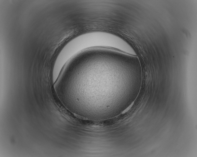 X0000115280308200911131834