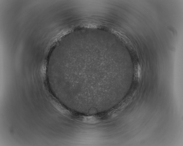 X0000115280309200911131834