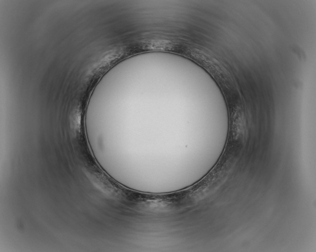 X0000115280310200911131834