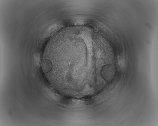 X0000115280311200911131834